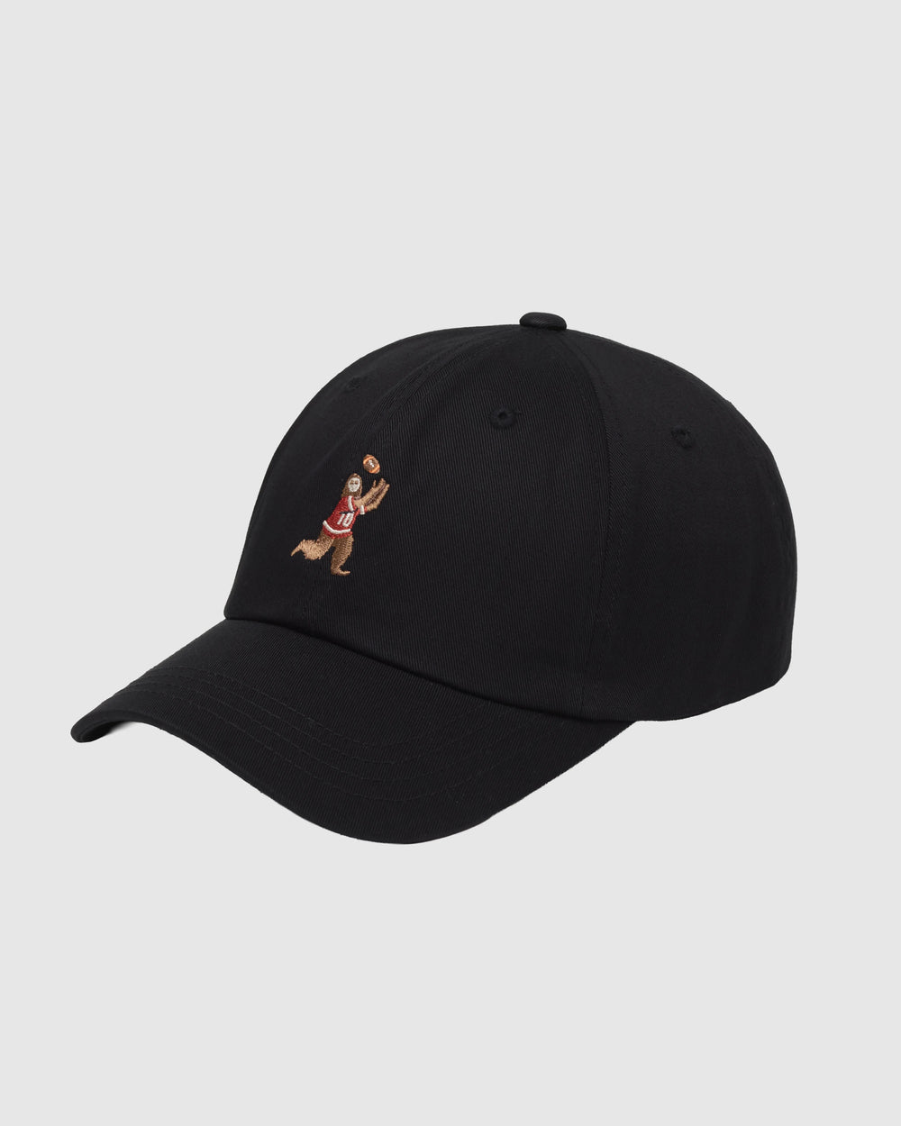 Sasquatch Peak Hat