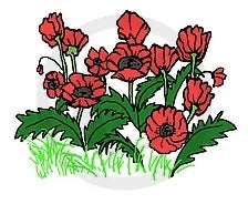 Tampon encreur Frog's Whiskers - Coquelicots sauvages
