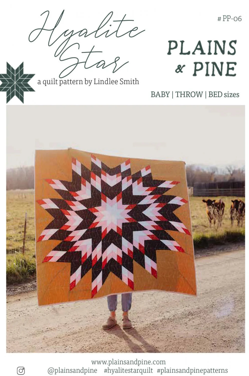 Hyalite Star Quilt Pattern by Plains & Pine