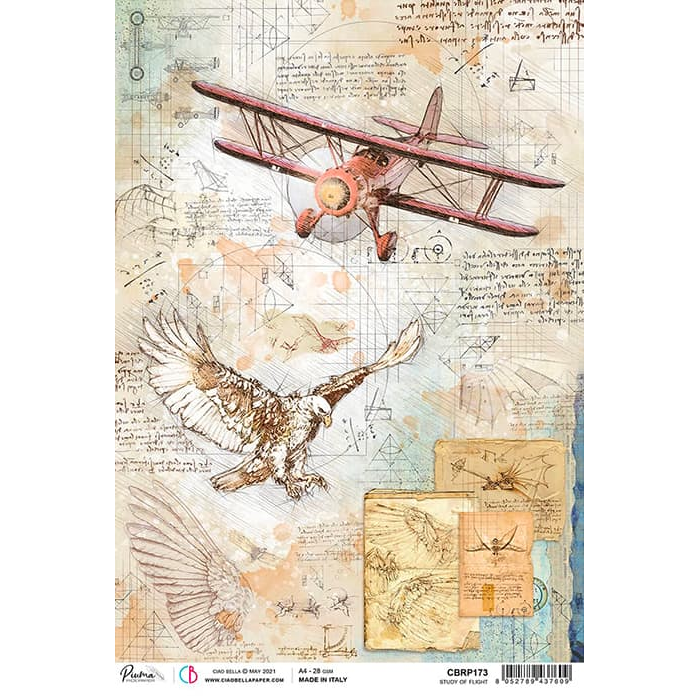 Ciao Bella Rice Paper A4 Study Of Flight — Ecstasy Crafts