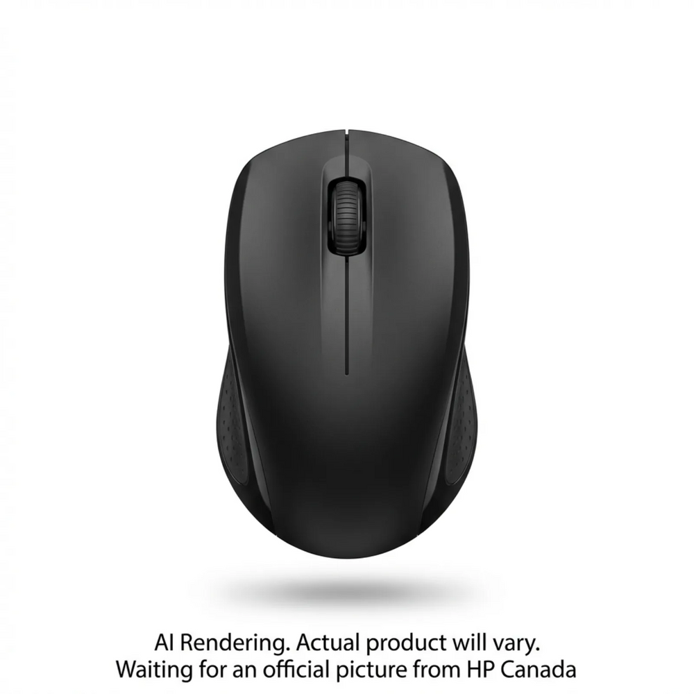 HP USB-A X3000 G2 WL MouseBlack United States / Canada English