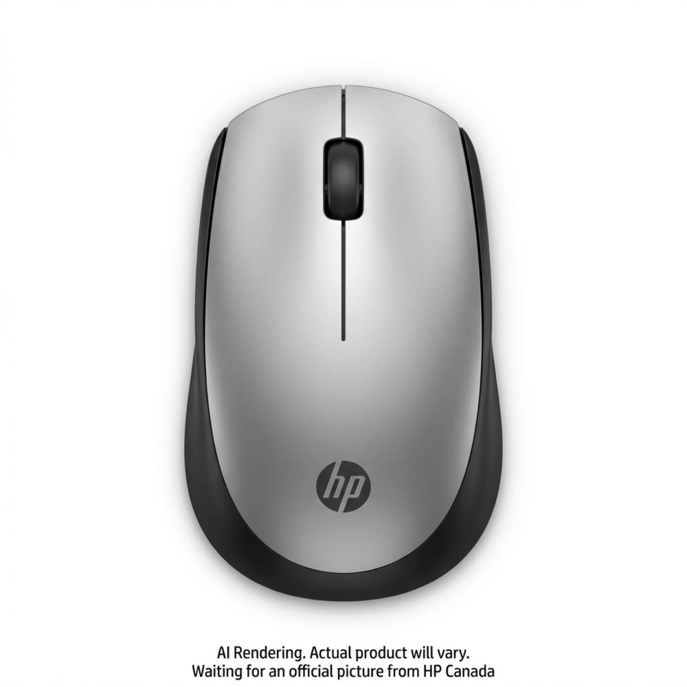 HP 200 Pk Silver Wireless Mouse Canada - French Bilingual