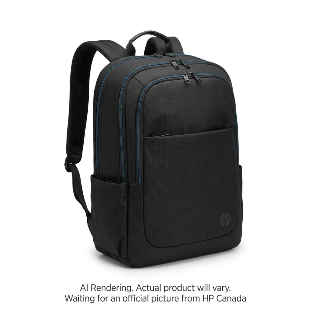 HP Prof 17.3 Laptop Bckpck