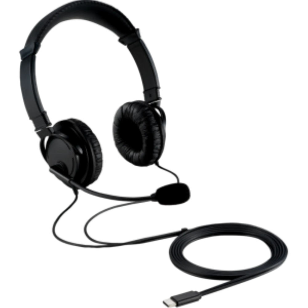 USBC HiFi Head Phones w Mic