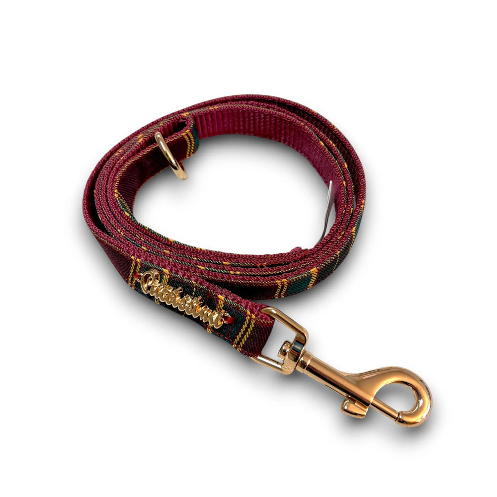 Welsh Leash with hands-free extension