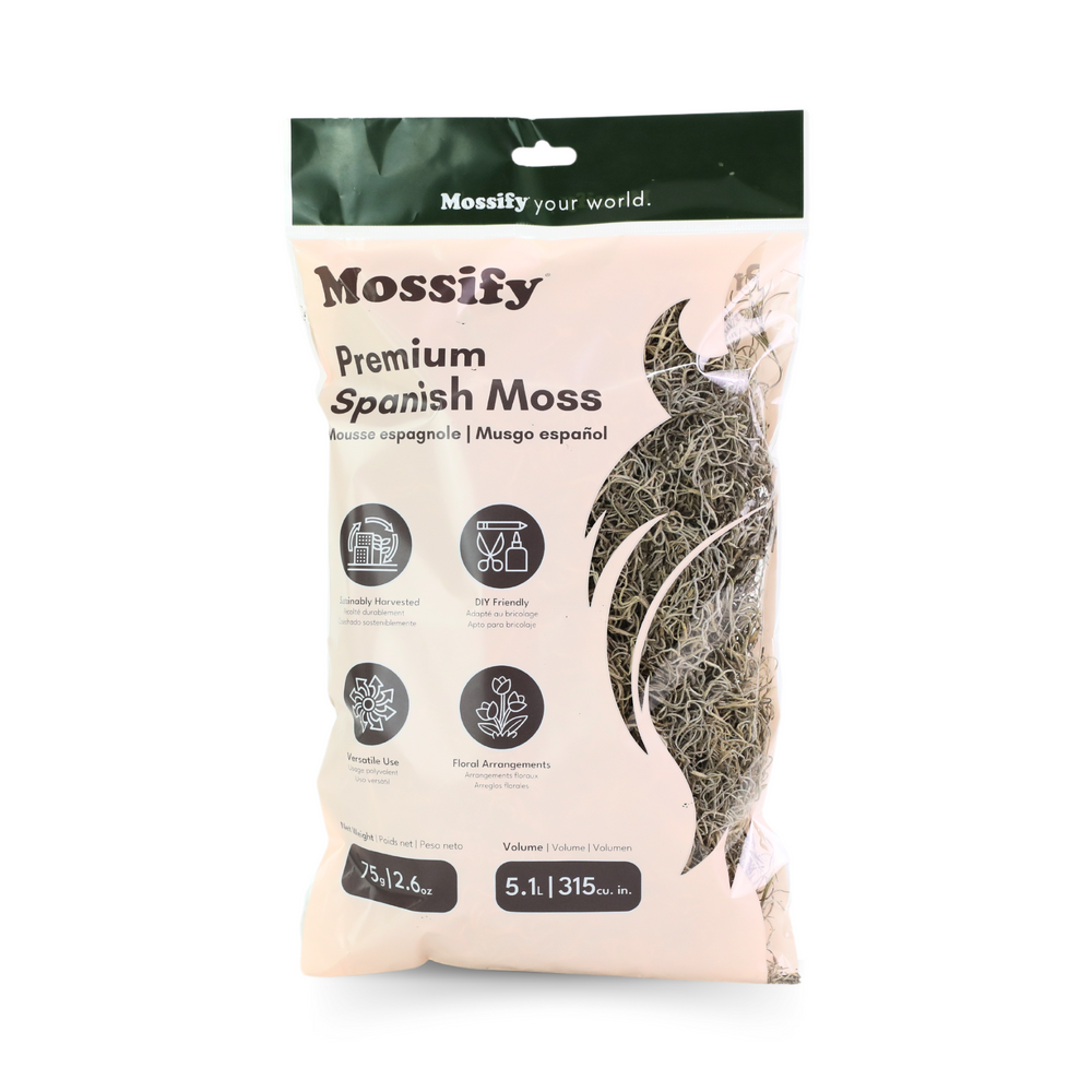 Mousse Espagnole Premium