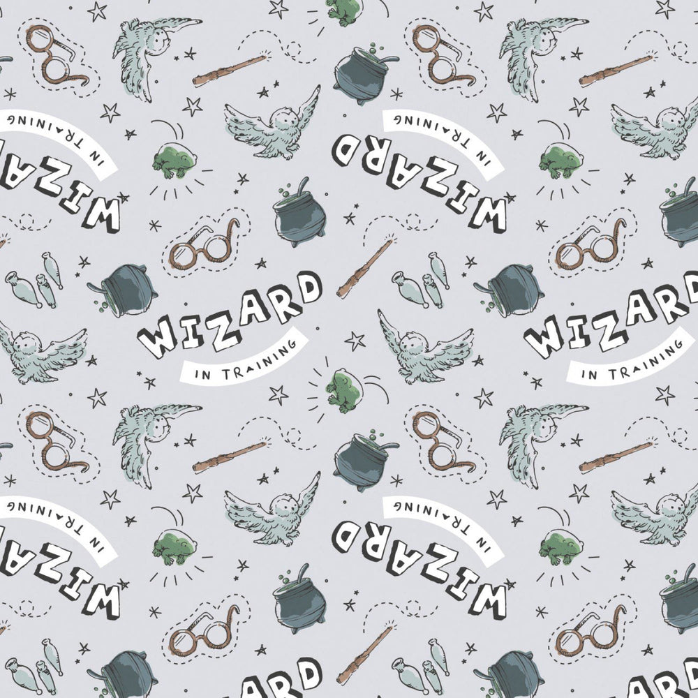Camelot - Harry Potter - Wizard in Training - Grey — Cottage Quilting Ltd.
