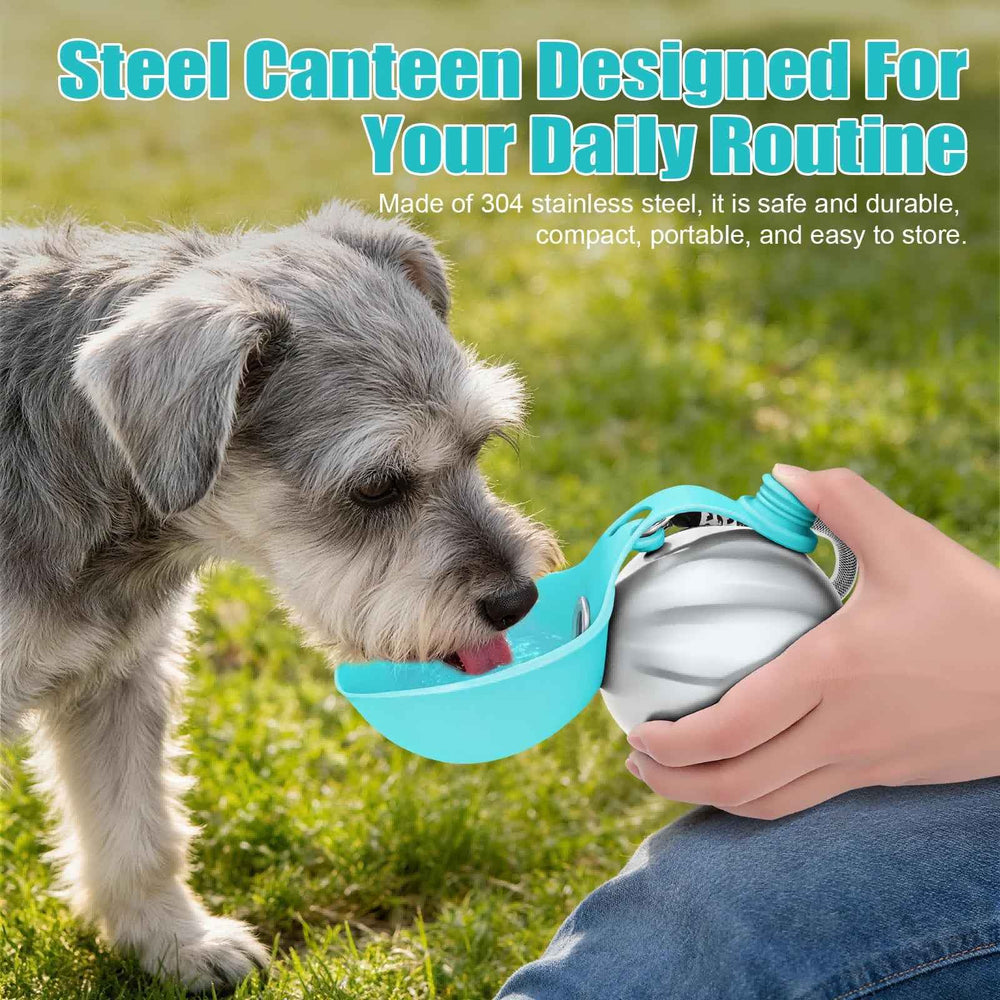Bouteille d'eau portable pour chien 10oz en acier inoxydable, distributeur de voyage avec gamelle anti-déversement pour chiots et petits chiens, idéale pour la marche et la randonnée