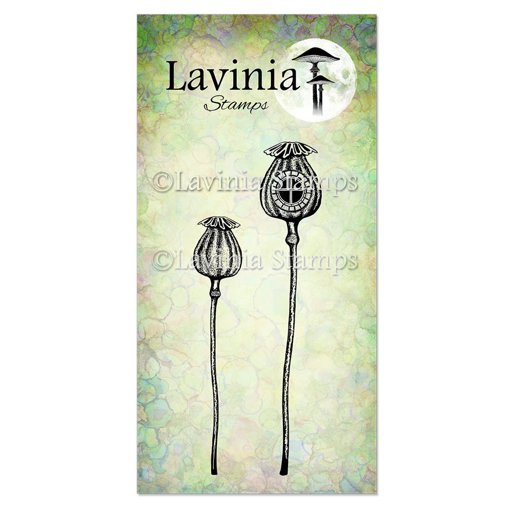 Tampons Lavinia - Demeures de coquelicots