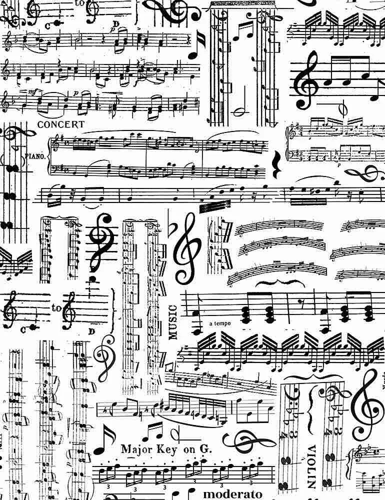Timeless Treasures - Music Sheets - MUSIC-C7584-WHITE — Cottage Quilting Ltd.