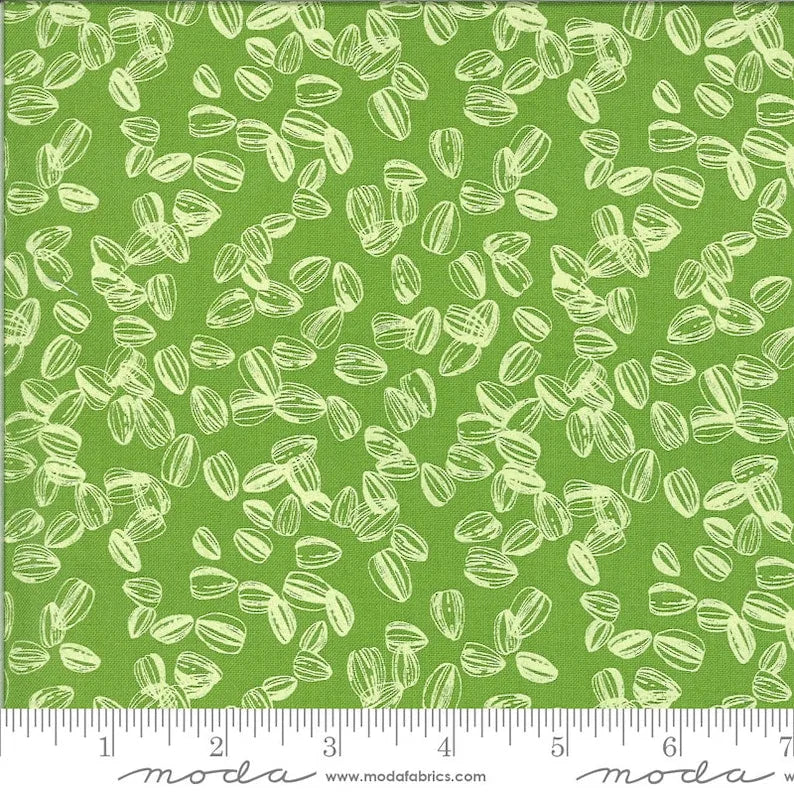 Solana par Robin Pickens - Sprout