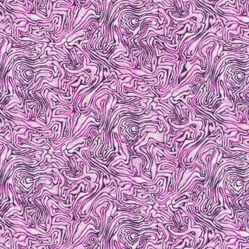 Mélange du marché - Chou violet