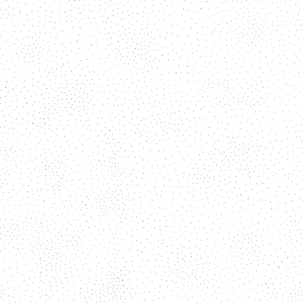 Blanc avec pois argentés métalliques