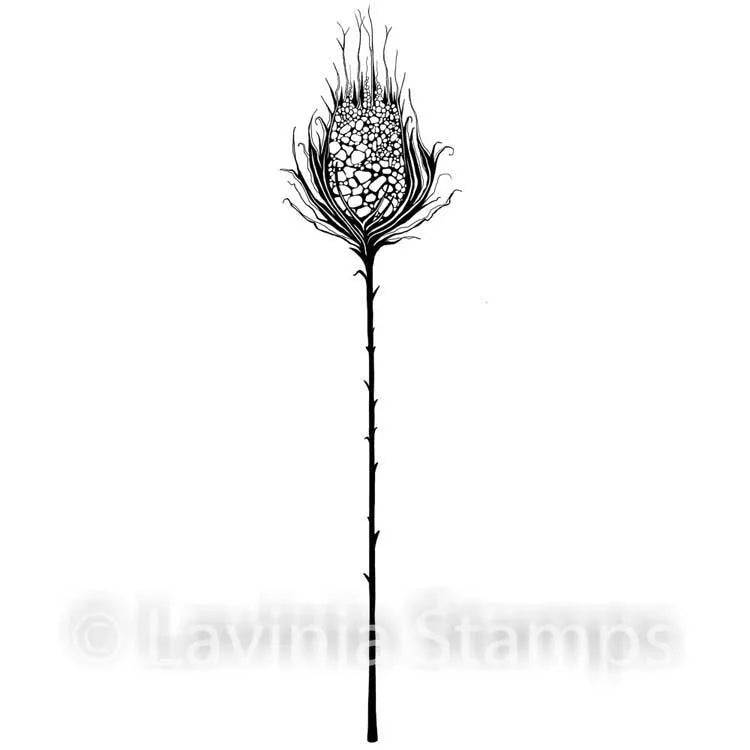 Lavinia Stamp - Starburst — Ecstasy Crafts