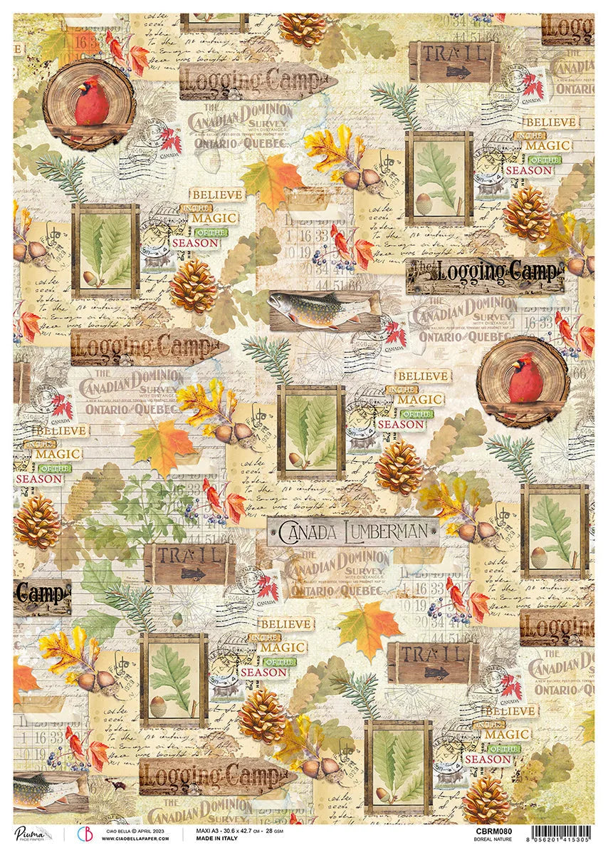 Ciao Bella Rice Paper A3 Piuma Boreal Nature - 3 Sheets
