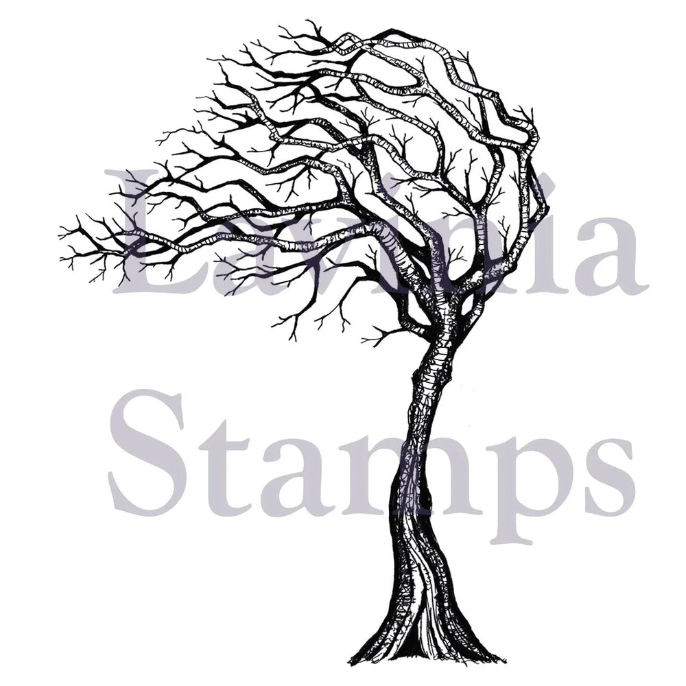 Lavinia Stamp - Seasonal Tree — Ecstasy Crafts