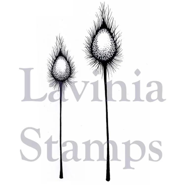Tampon Lavinia - Dragon Pods