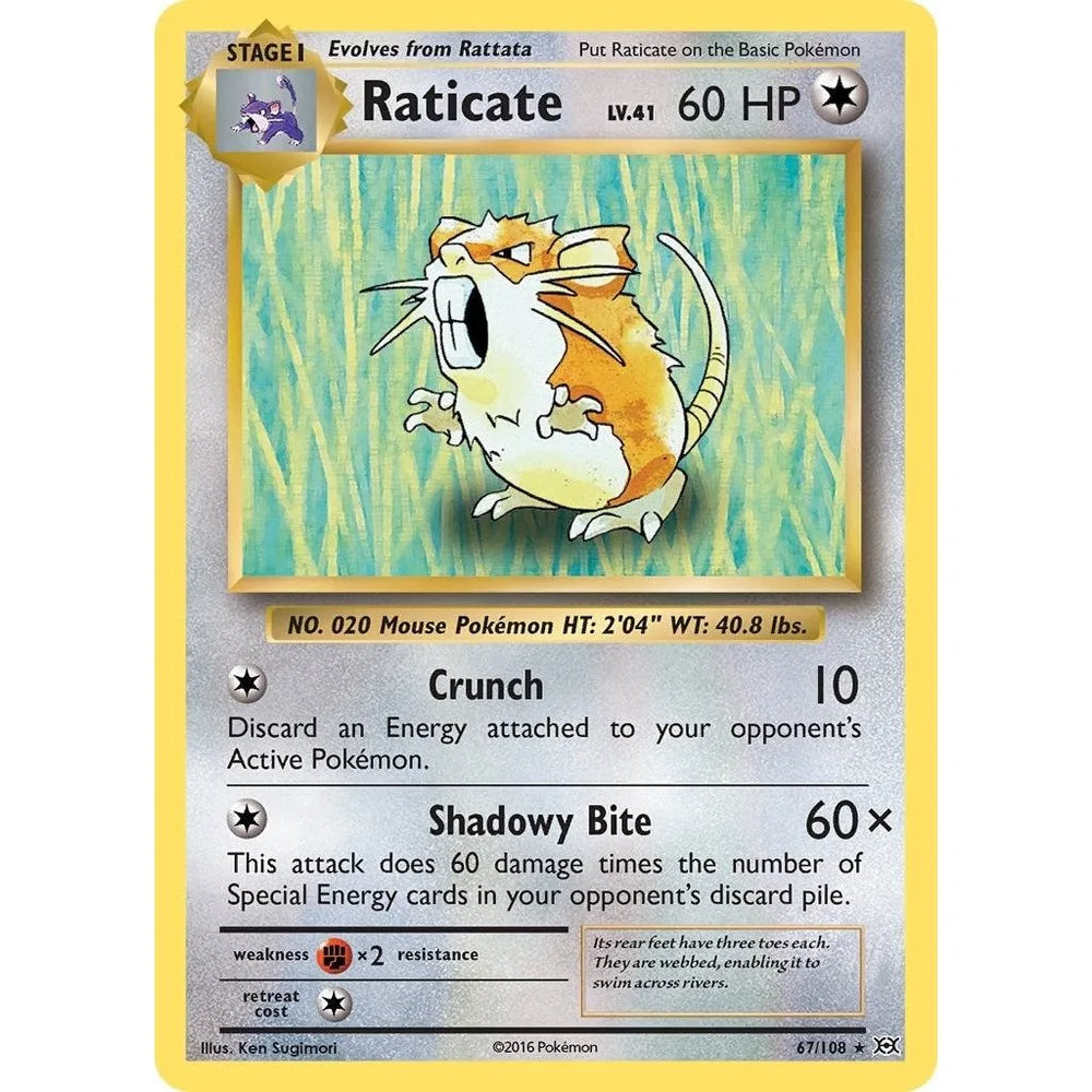 Raticate (67/108) (EVO)