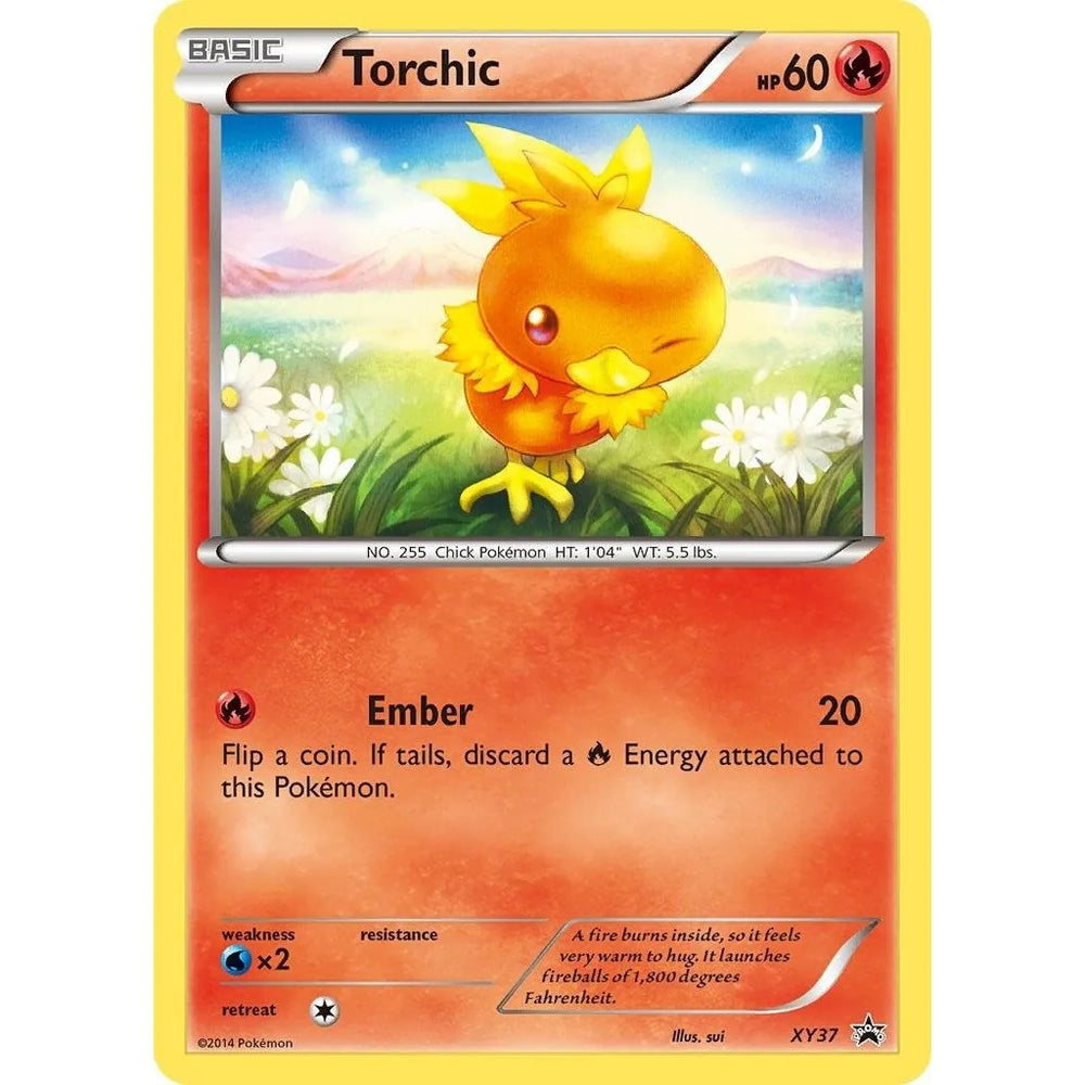Torchic - XY37 (XY37) (PR)