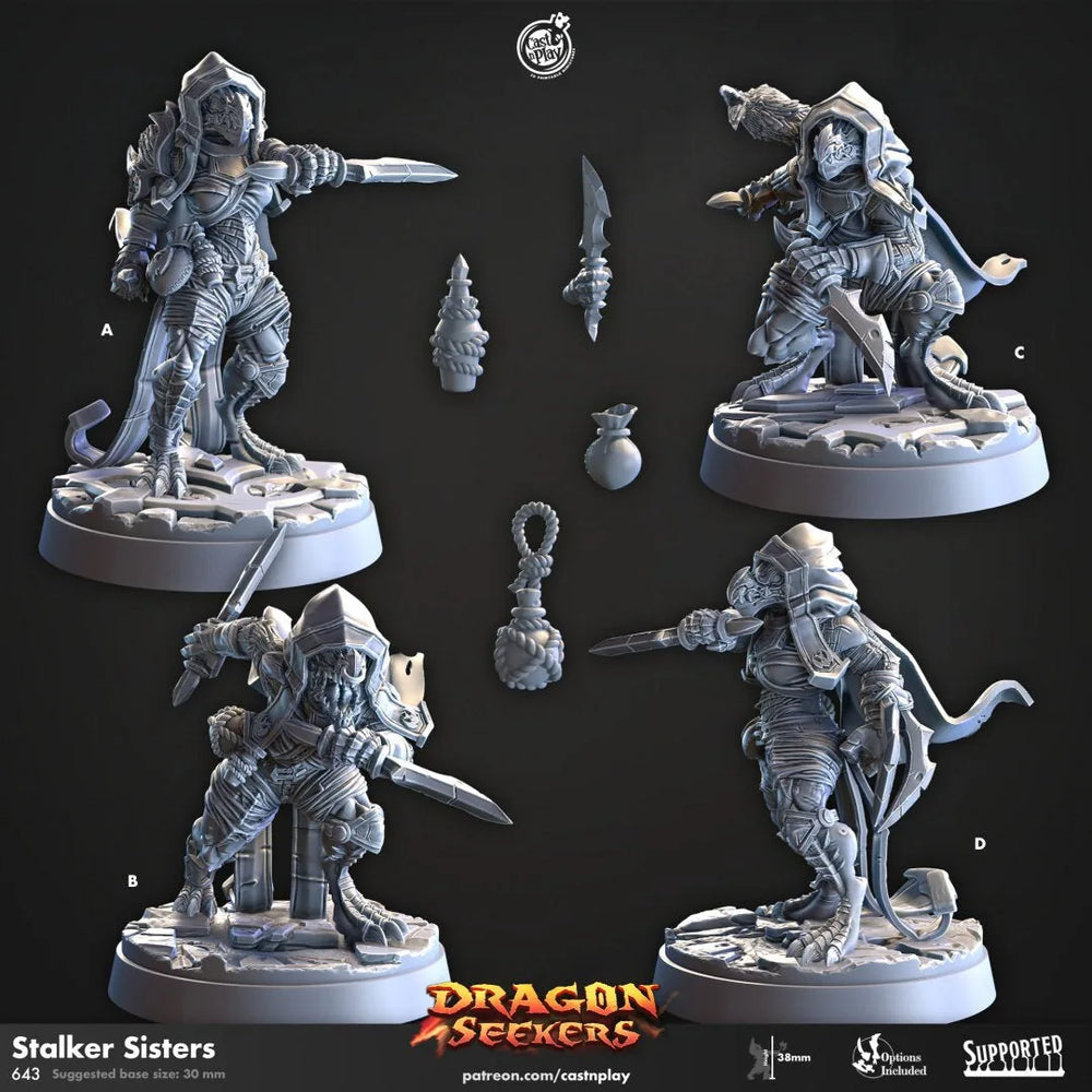 Stalker Sisters - Cast n Play Dragon Seekers | Figurine DnD | Dragonborn | Voleur, Rôdeur, Guerrier, Assassin, Femme, À distance, Mêlée, Discrétion