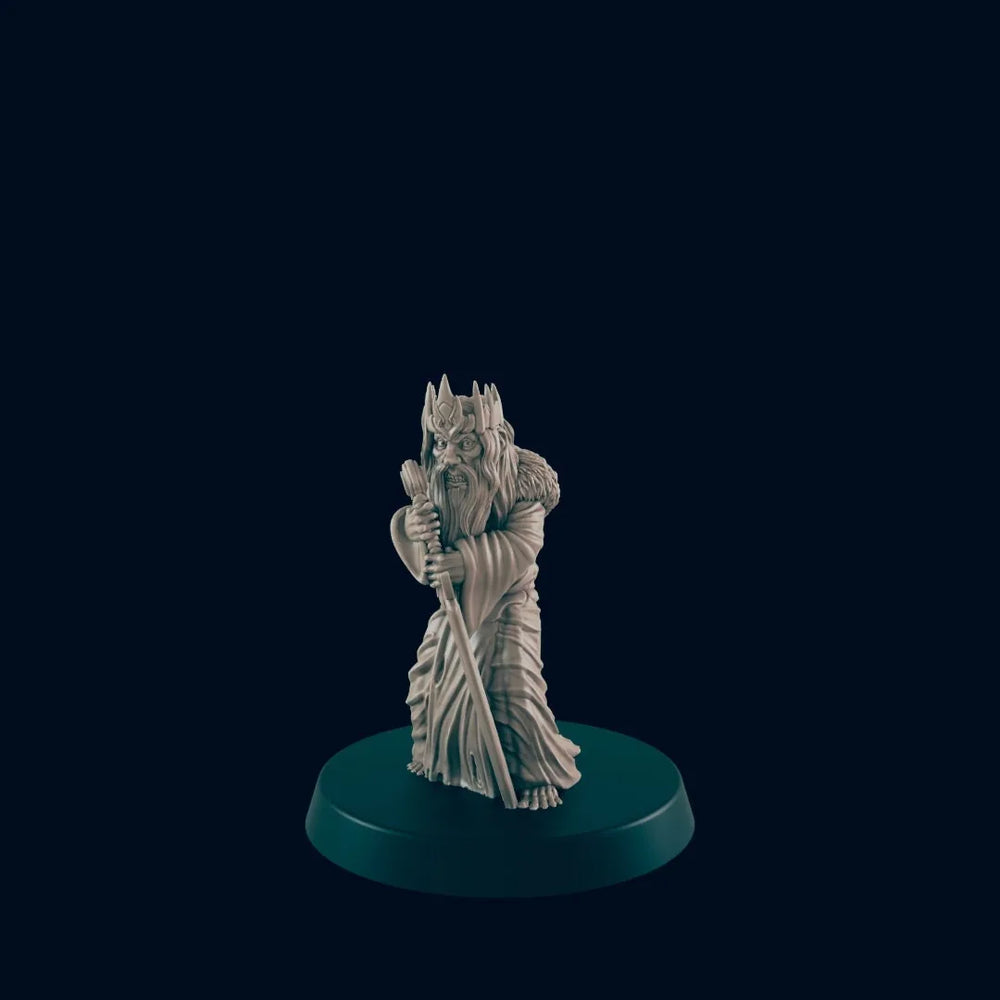 Le Roi Fou - EC3D, miniature DnD | Humain | 5E | Seigneur | 28mm | Fantaisie | Roturier | Villageois | Sorcier | Magicien | Maléfique