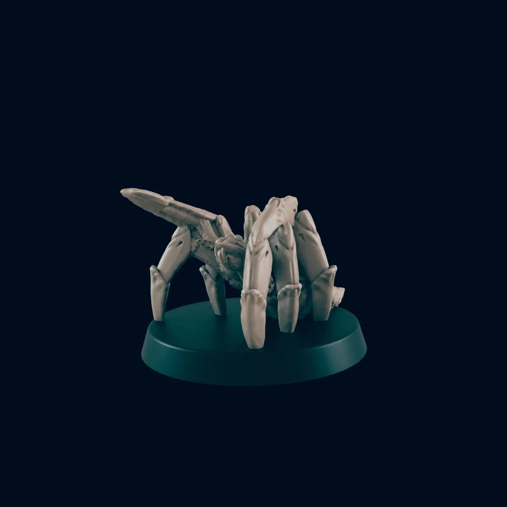 Grosse Araignée - EC3D, Miniature DnD | Animal | Monstre | 5E | Grande | Caverne | Fantaisie | Forêt | Forme Druidique | 28mm | Insecte | Sous-terre | Grotte