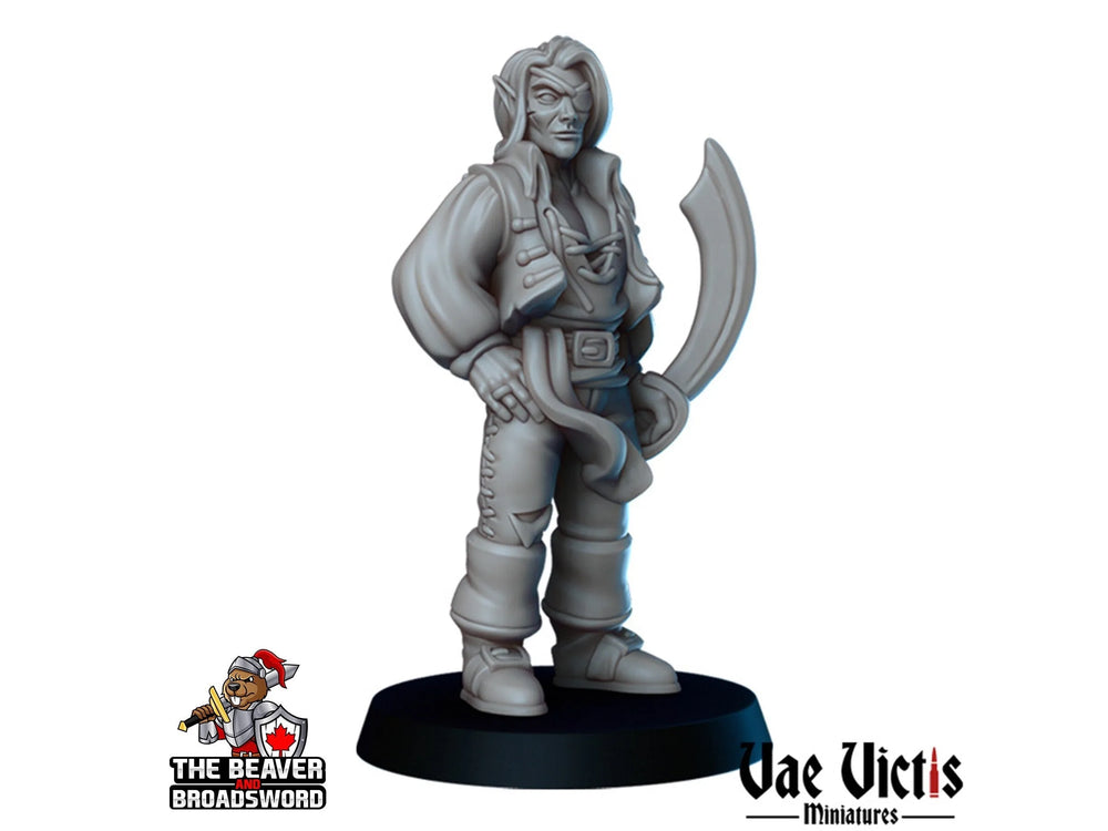 Miniature elfe pirate DnD - Vae Victis | Gens de la ville | Marin | Marin | Homme | Guerrier | Rôdeur | Ville | Villageois | Wargaming | Pathfinder