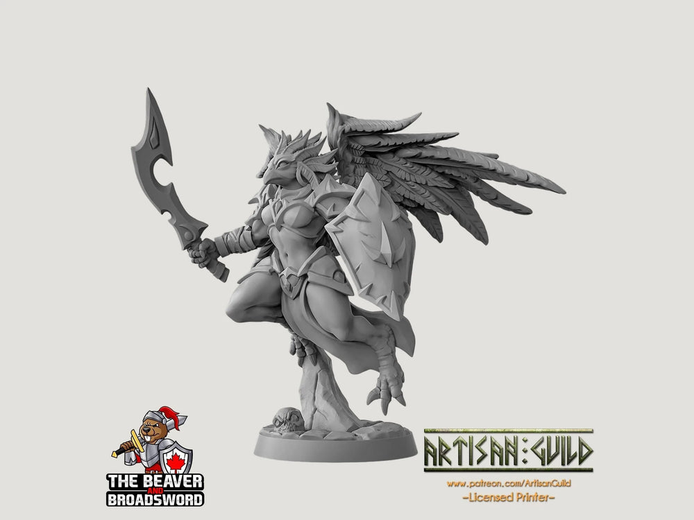 Aarakocra C Paladin Cleric Fighter miniature premium DnD - Miniature imprimée en résine de haute qualité 28mm 32mm pour jeu de table, résistante, durable, figurine