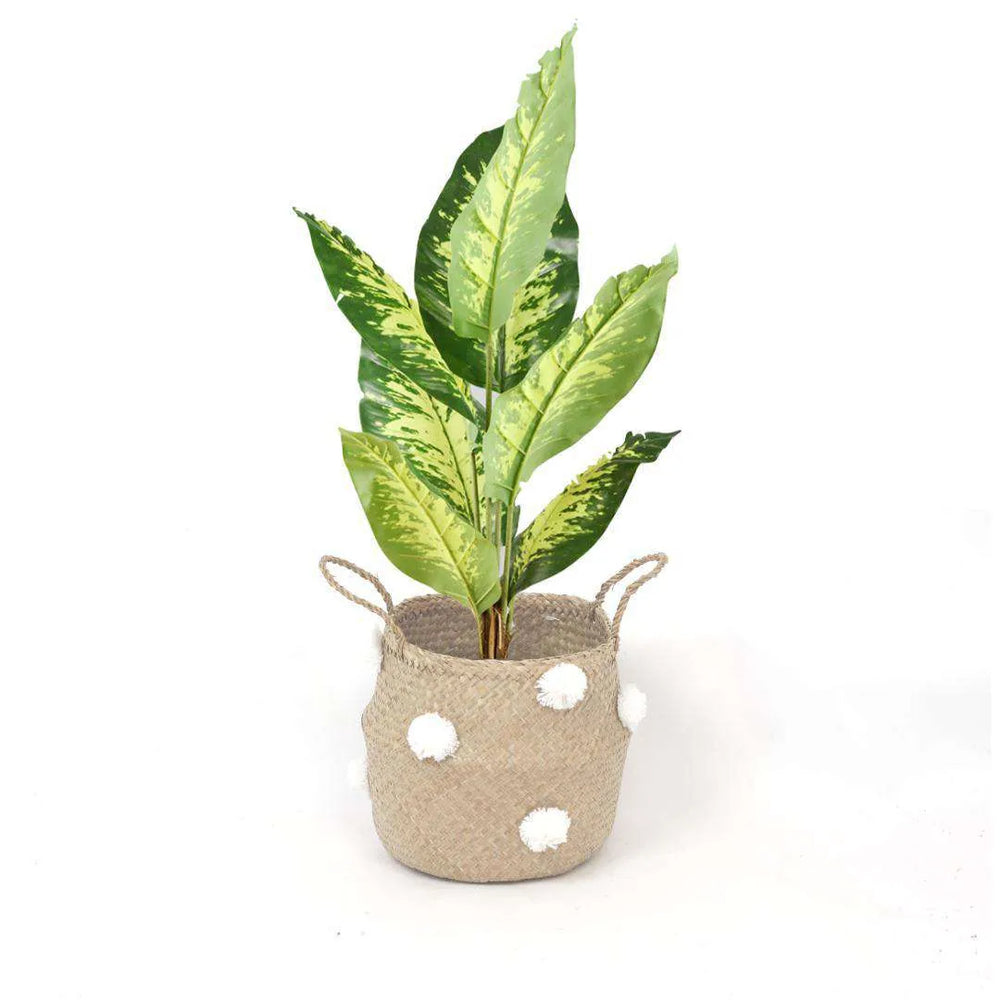 Bomba - Seagrass Basket With White Pompoms
