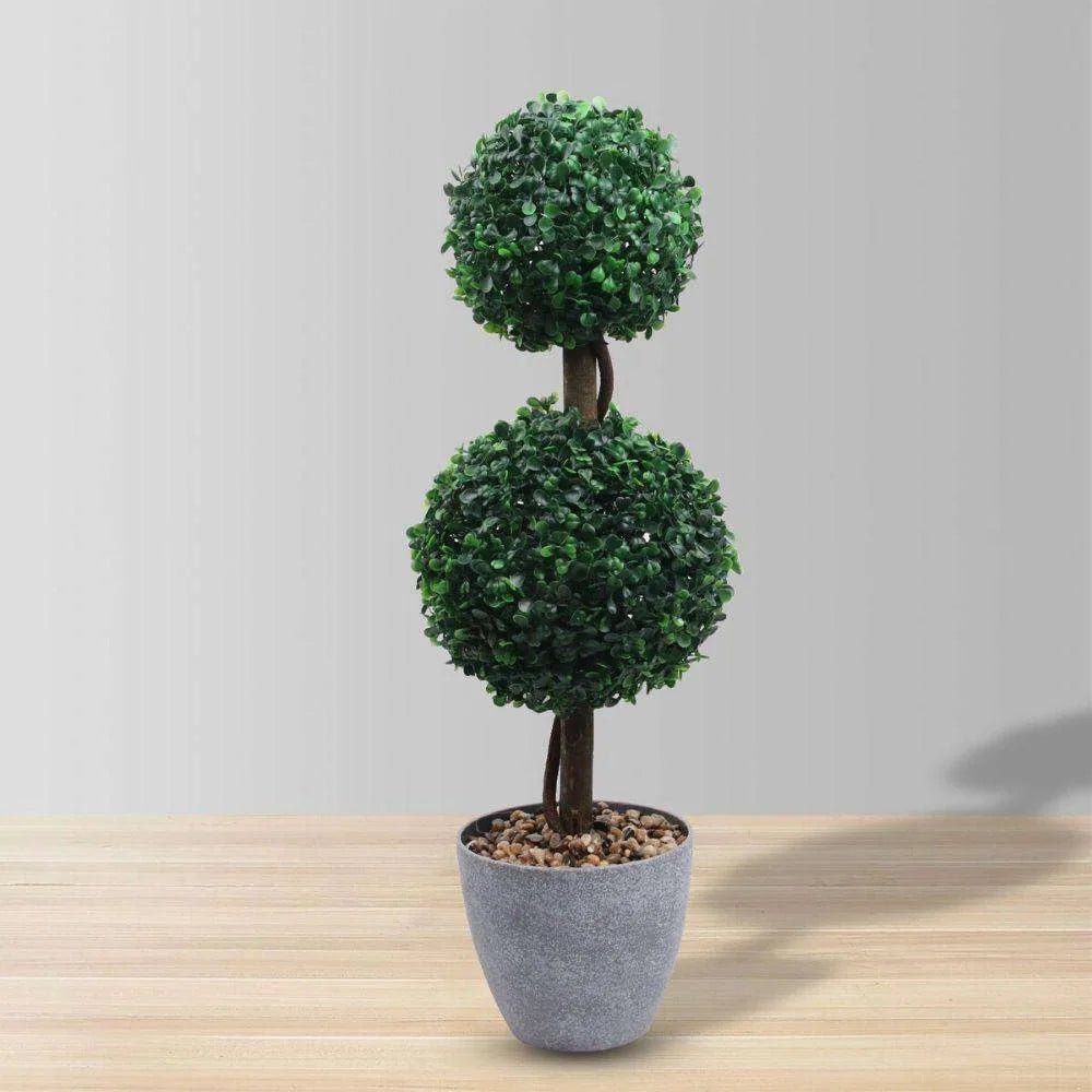 Plante d'art topiaire de buis en pot Bristol 26 po