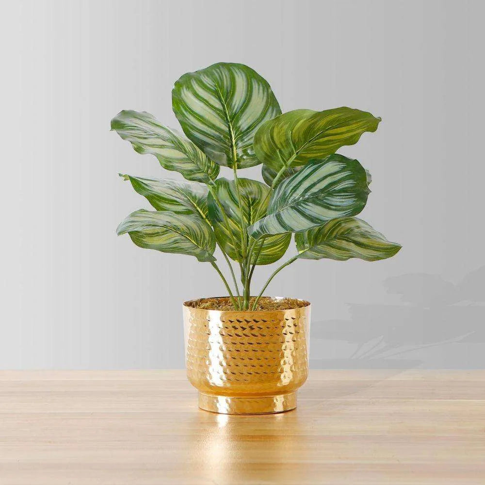 Plante en pot Calathea artificielle