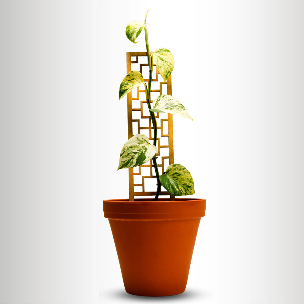 Tropical Squares Wooden Trellis