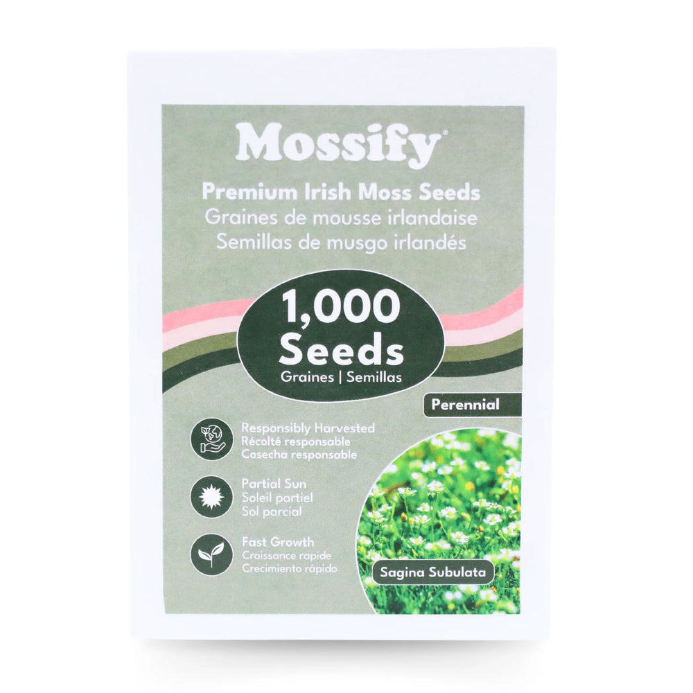 Graines de Mousse Irlandaise Premium - Sagina Subulata