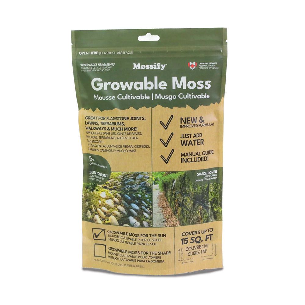 Native Boreal Mix Growable Moss for the Sun