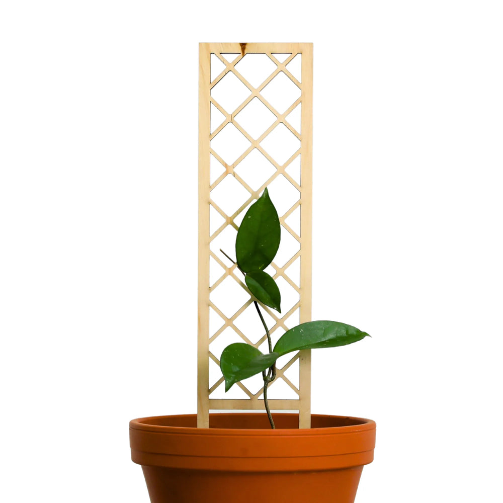Trellis en bois à croisillons