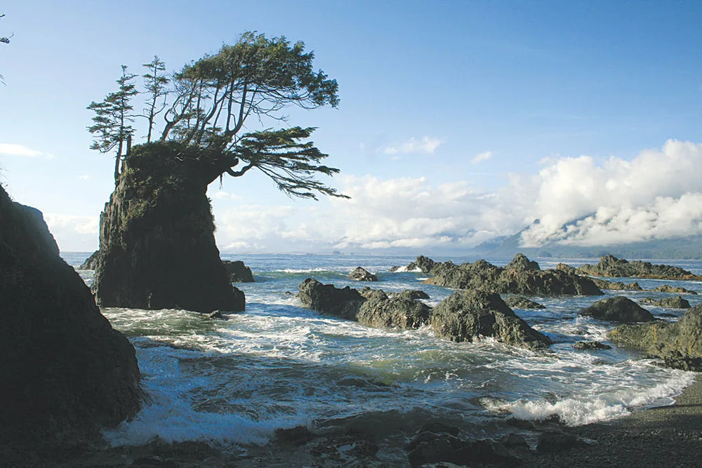 Carte 202 Kyuquot Sound : Kayak et Bateau