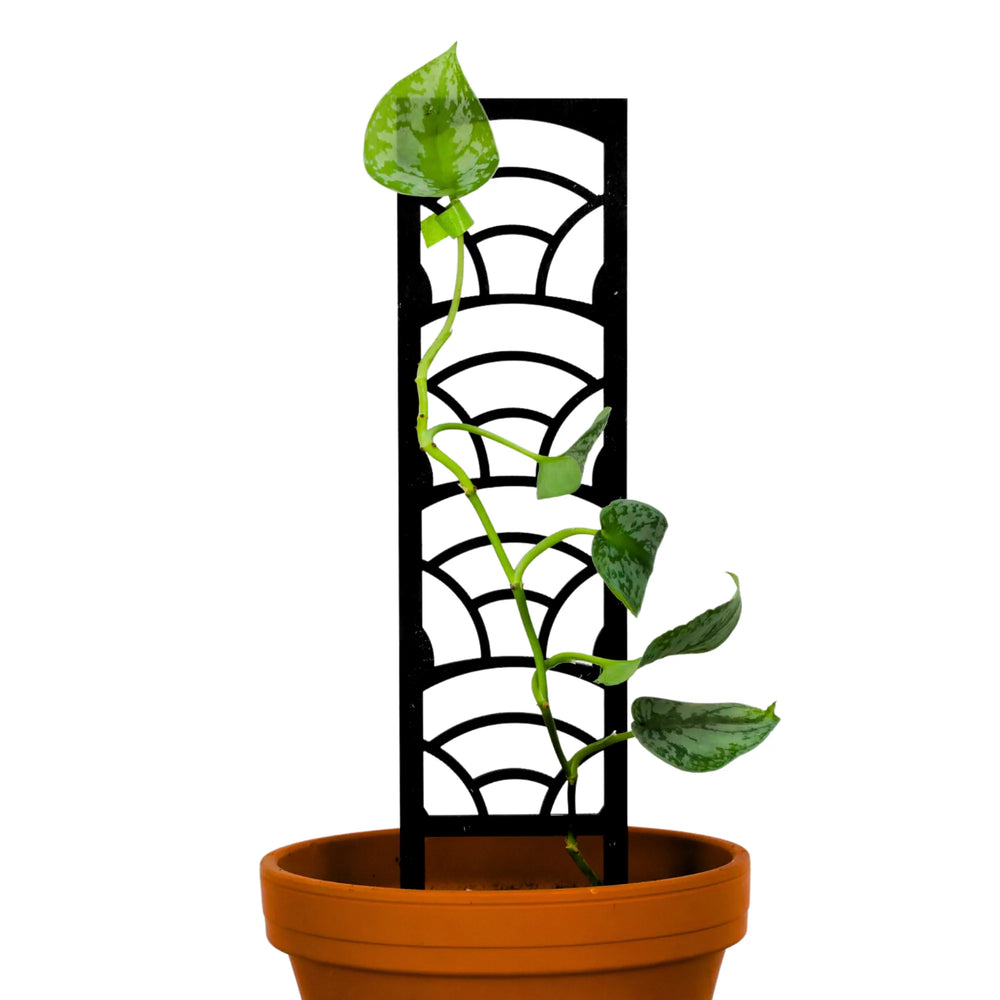 Trellis en bois arc-en-ciel