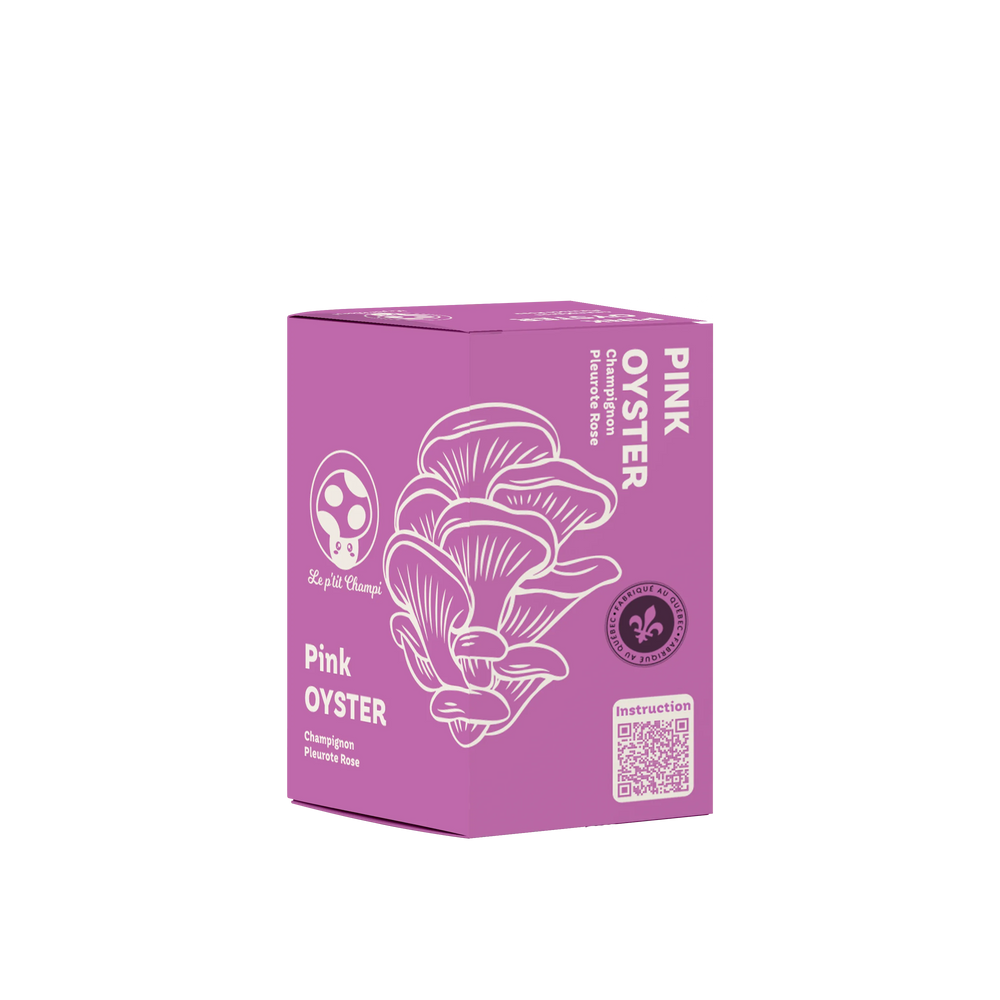 Kit de Pleurotes roses