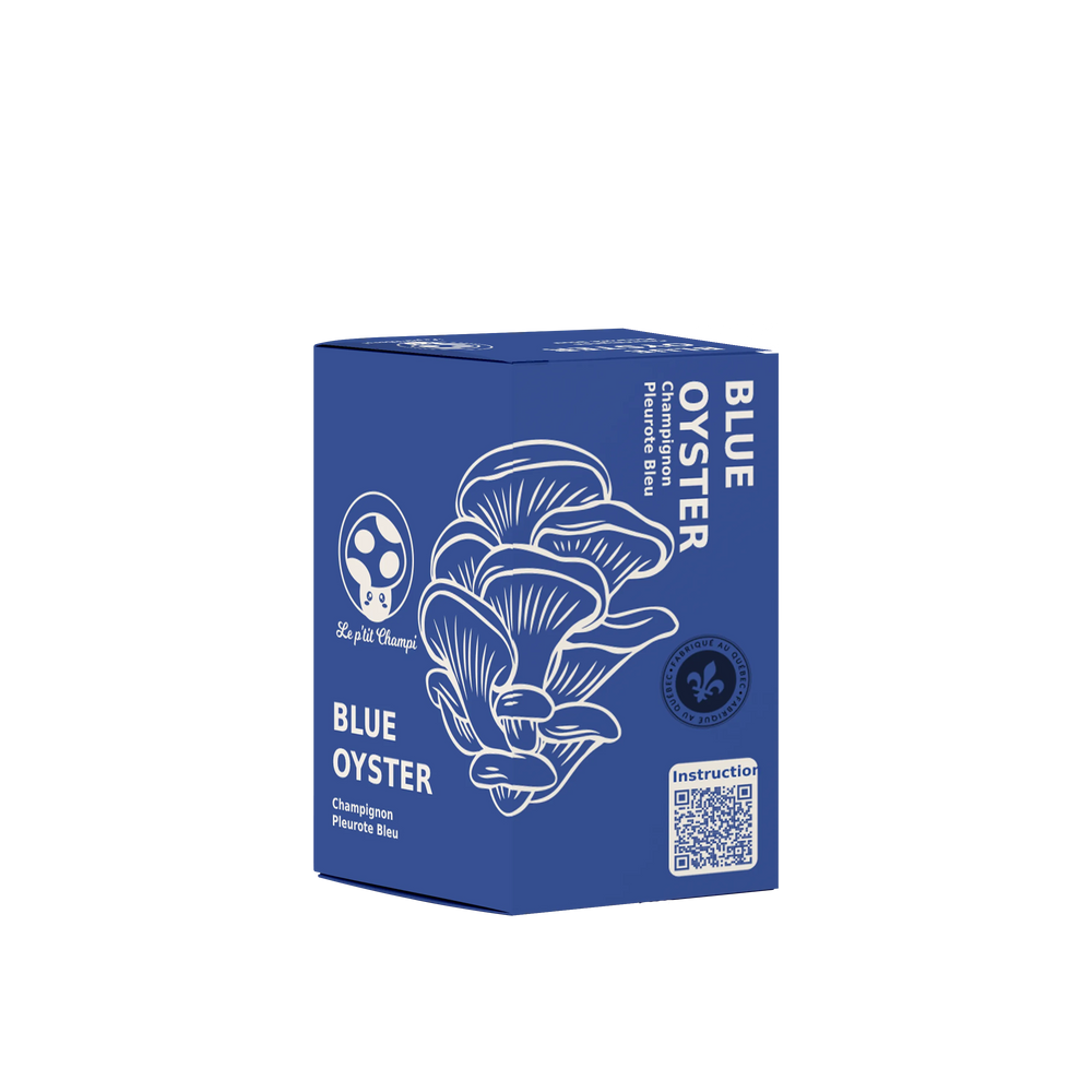 Kit de Pleurotes Bleus
