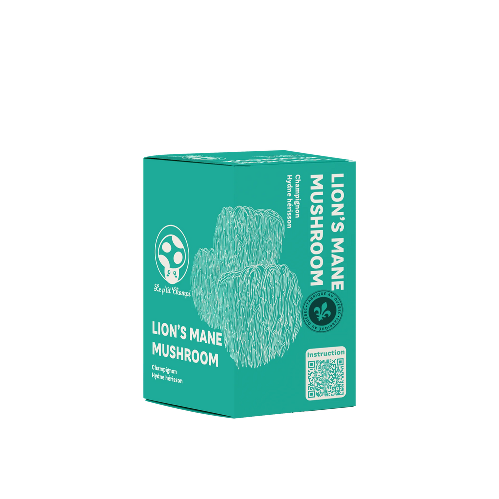 Lion's Mane Mushroom Kit