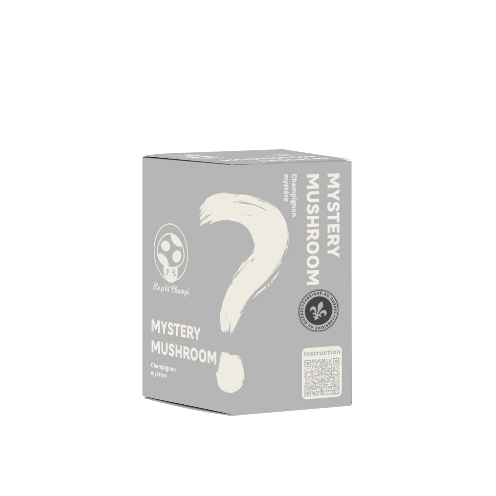 Mystery Mushroom Kit
