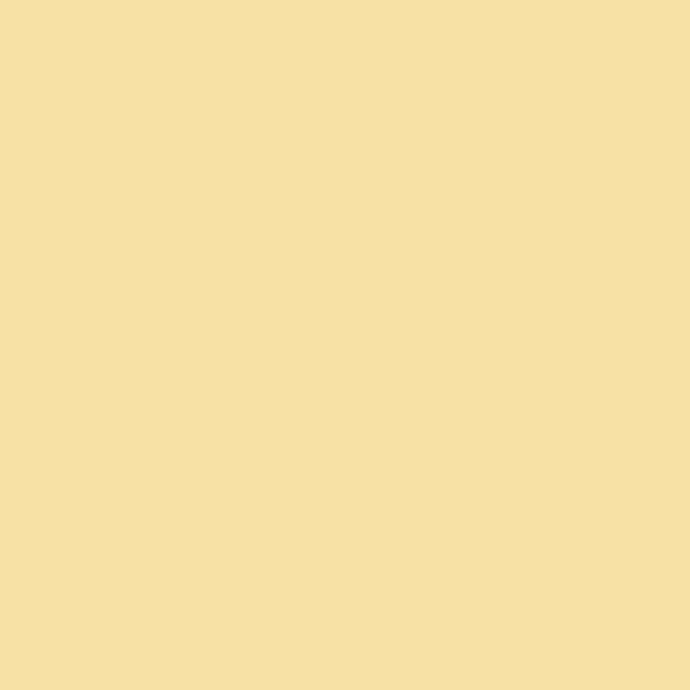 Peinture Rapido Proto-Paint 330044 Toronto Transit Commission Crème Acrylique Prête pour Aérographe 1oz (29.5mL) NIB