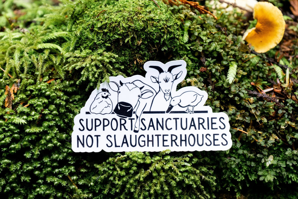 Support Sanctuaries Not Slaughterhouses Vegan Sticker