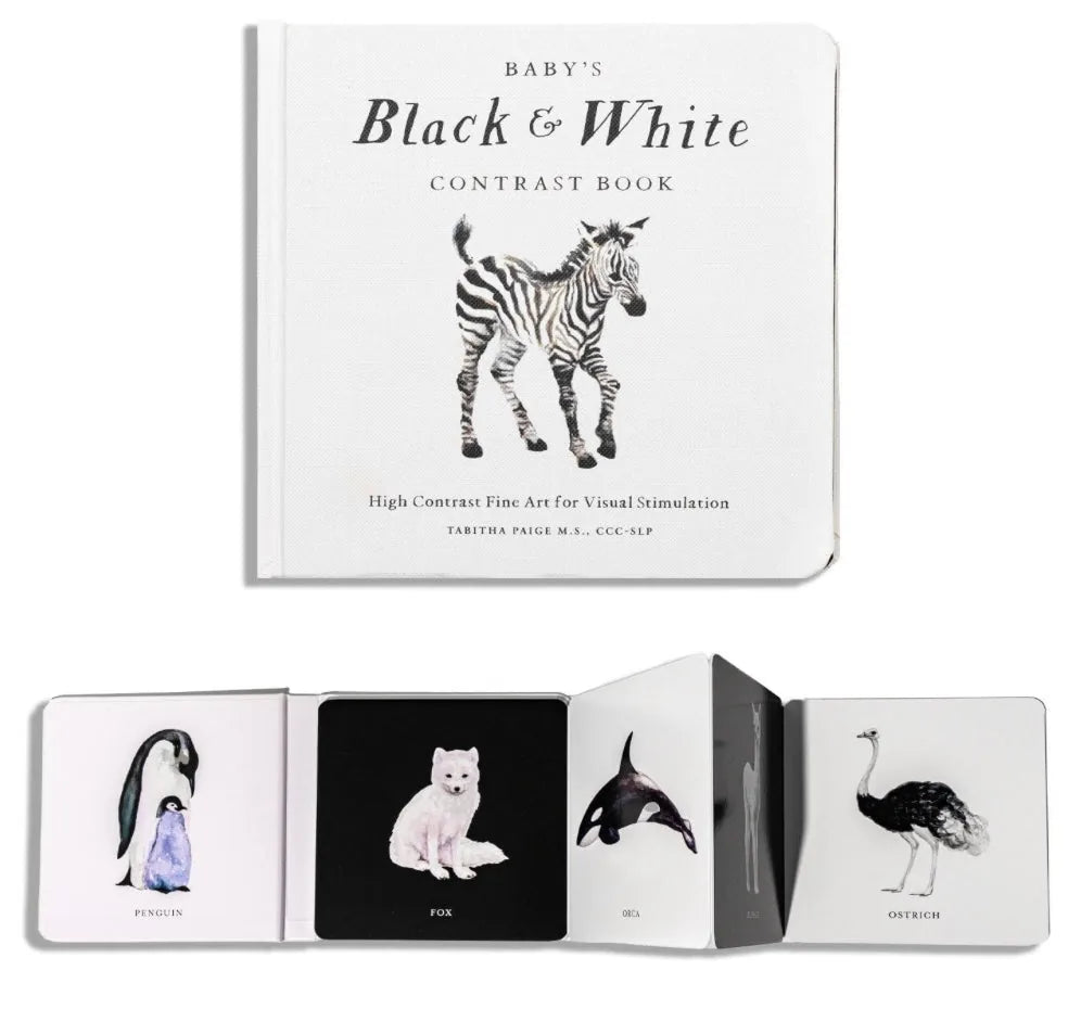 Baby's Black and White Contrast Book | Books