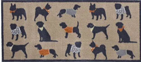 Pet 61 Runner