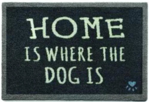 La maison est là où est le chien - Noir