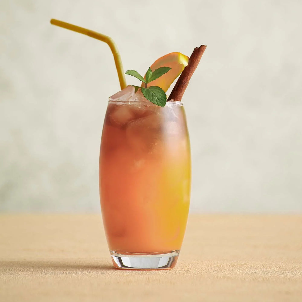 Ensemble de 6 verres à cocktail et boissons Highball 17,25 oz – LAV EMPIRE