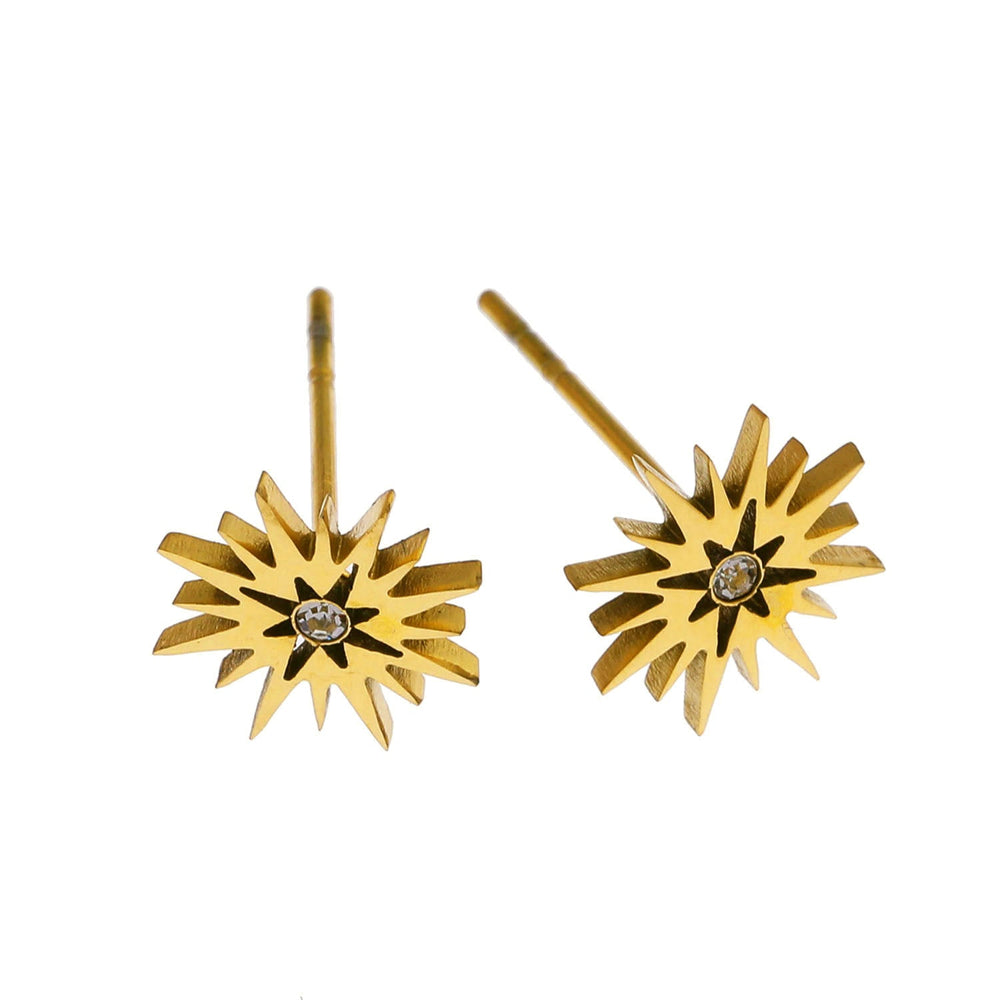 AMNISTY : Boucles d'oreilles Clous 'Étoile Brillante' Zirconia Or