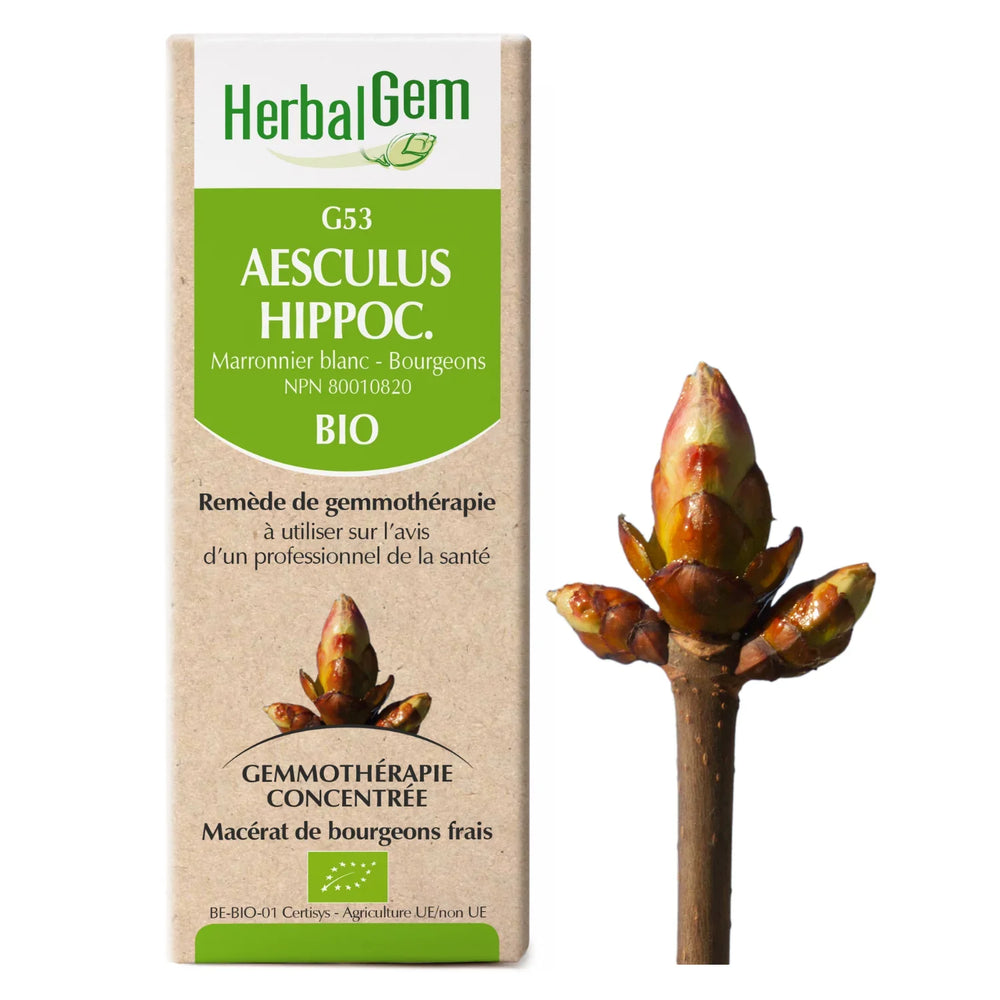 G53 - Aesculus Hippocastanum — Unytii - Suppléments et Produits Naturels