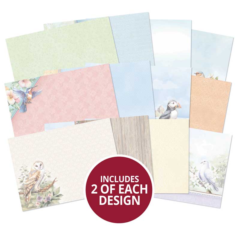 Inserts de Luxe pour Cartes Beaux Oiseaux